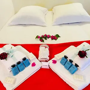 Hébergement de vacances La Petite Maison Dans La Croix Rousse Lyon